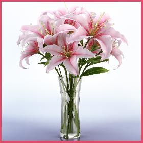 Lily in vase